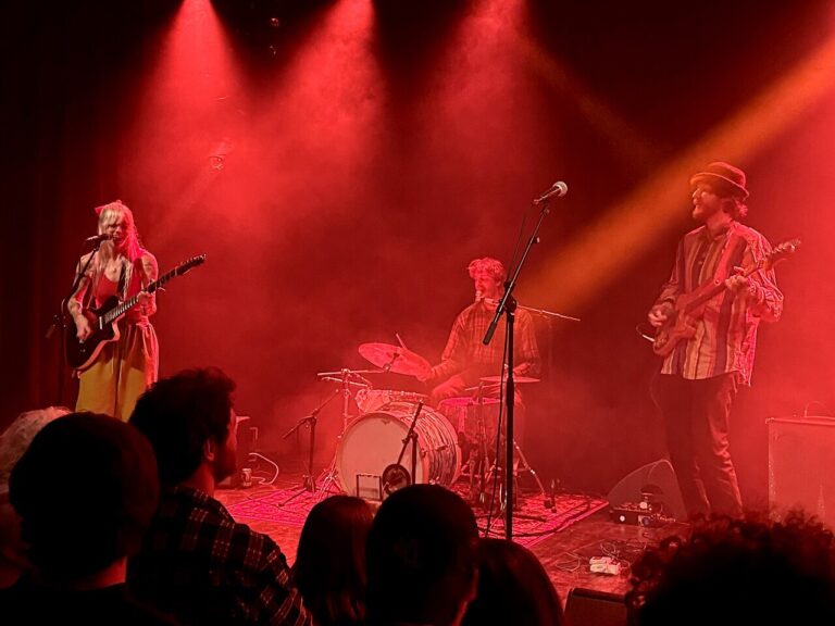 VIEF Happening – De Bonanzas Vintage Vinyl Classics — muziek in Bredene